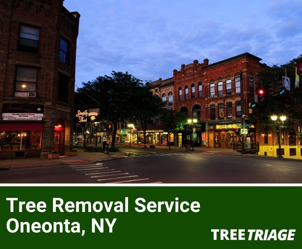 Tree Removal Service Oneonta, NY-1