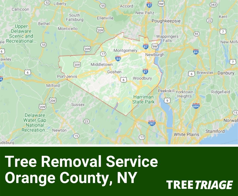 Tree Removal Service Orange County, NY-1