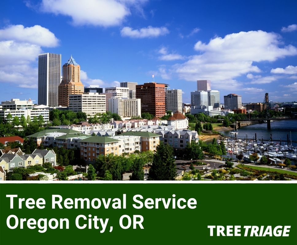 Tree Removal Service Oregon City, OR-1