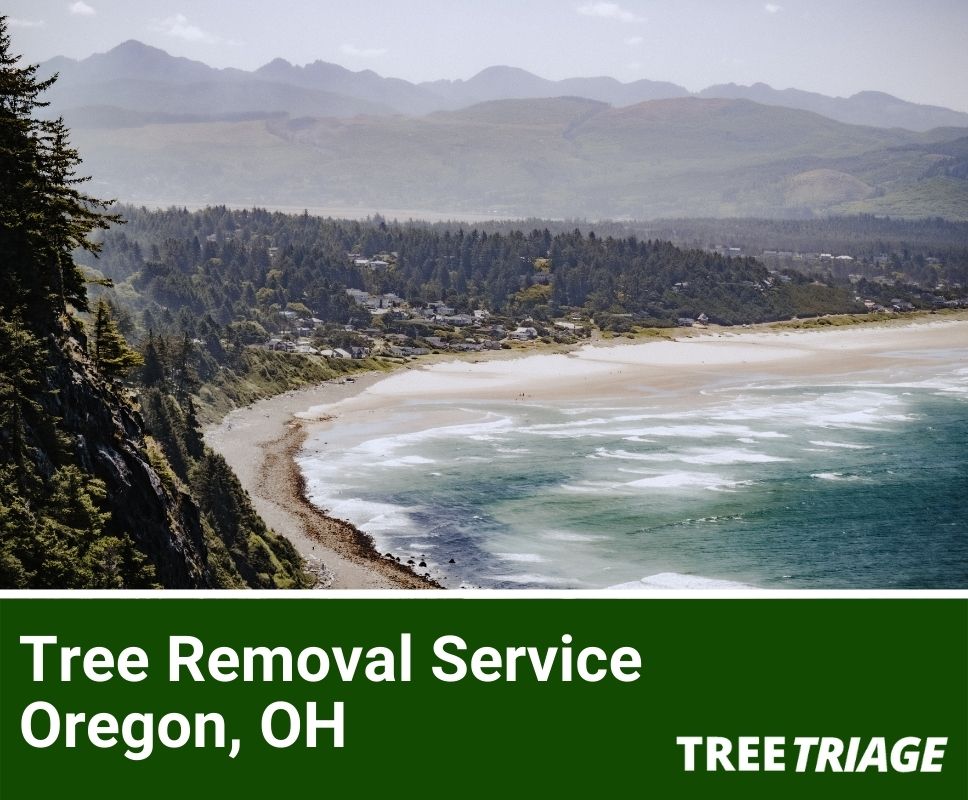 Tree Removal Service Oregon, OH-1