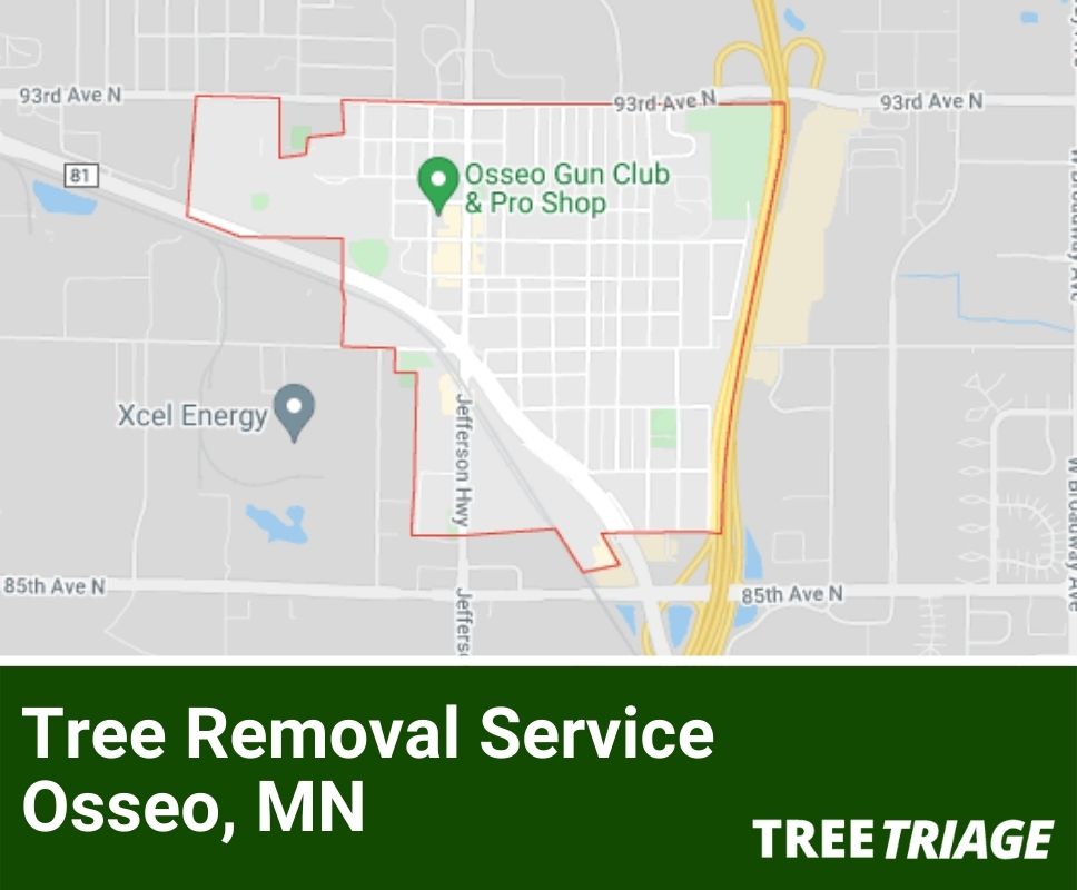 Tree Removal Service Osseo, MN-1