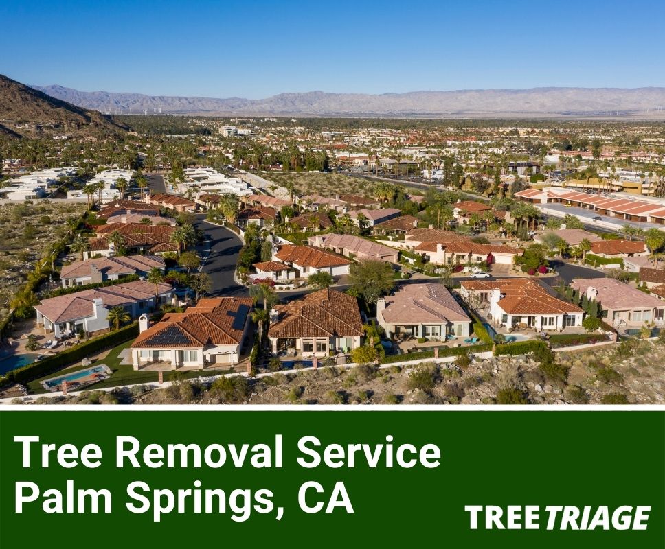 Tree Removal Service Palm Springs, CA-1