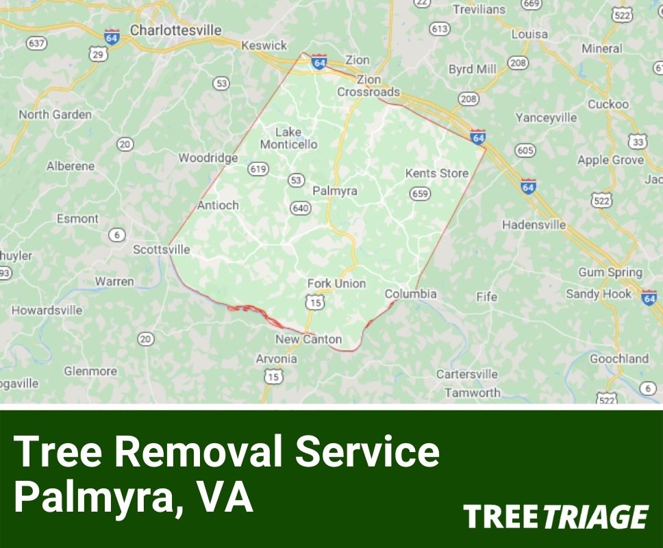 Tree Removal Service Palmyra, VA-1