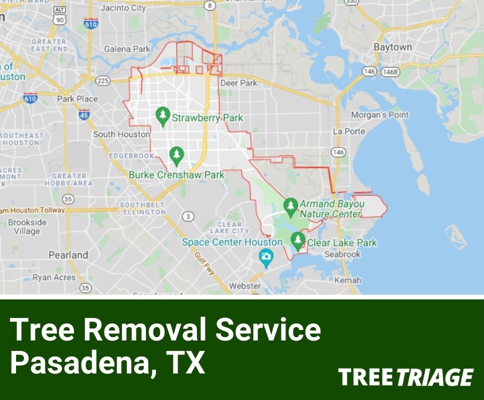 Tree Removal Service Pasadena, TX-1