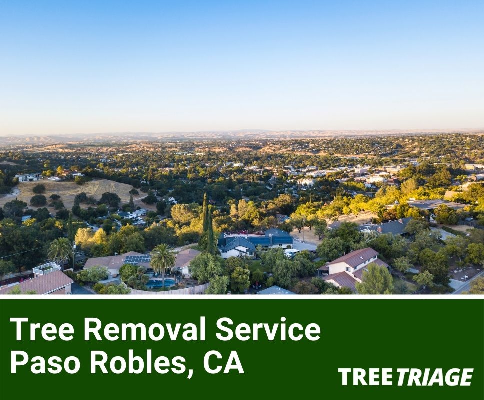 Tree Removal Service Paso Robles, CA-1