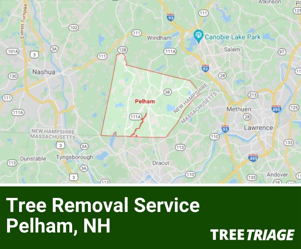 Tree Removal Service Pelham, NH-1