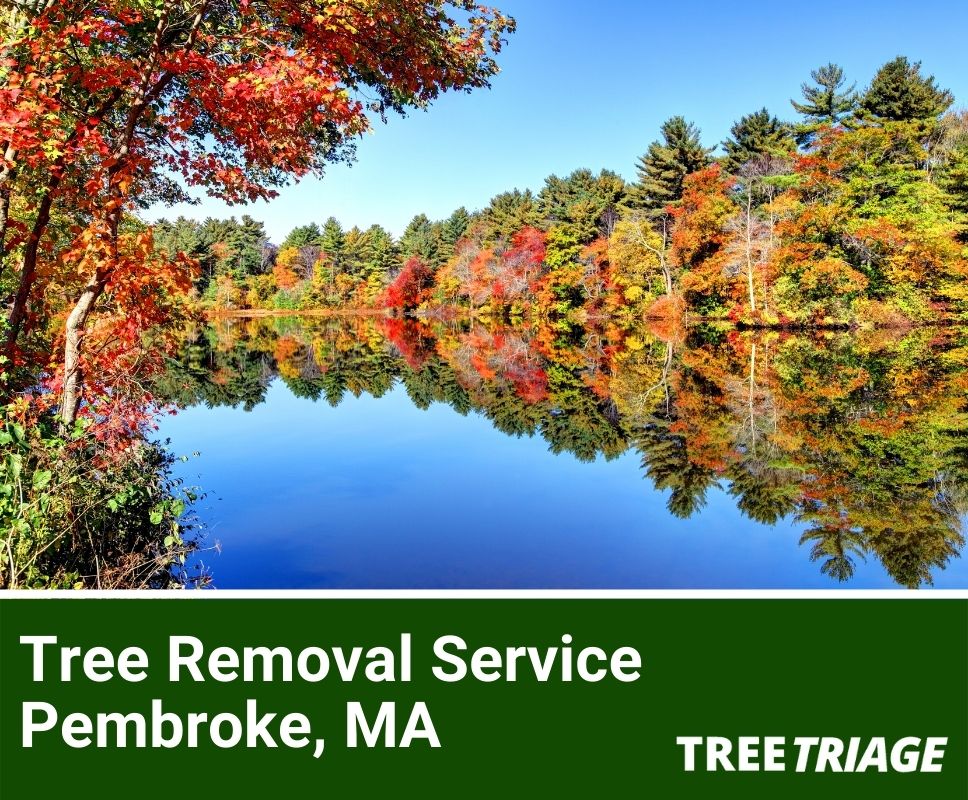 Tree Removal Service Pembroke, MA-1