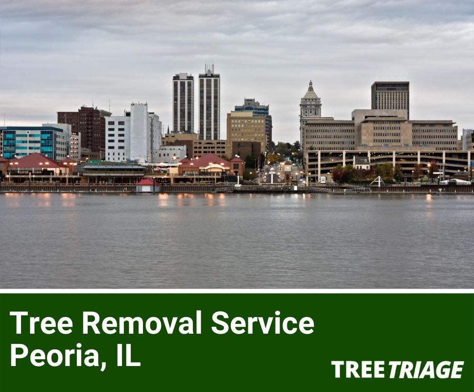 Tree Removal Service Peoria, IL-1