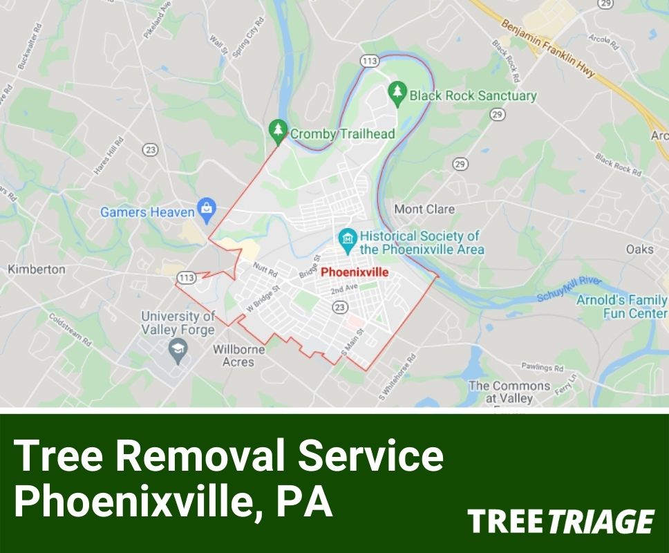 Tree Removal Service Phoenixville, PA-2
