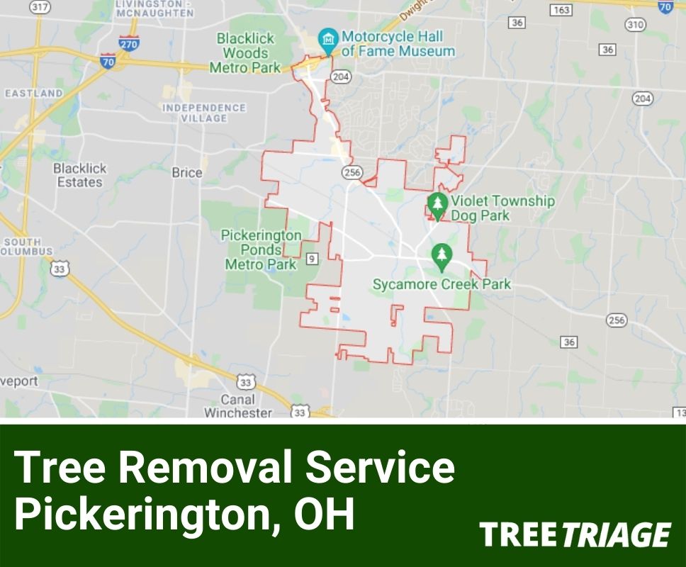Tree Removal Service Pickerington, OH-1