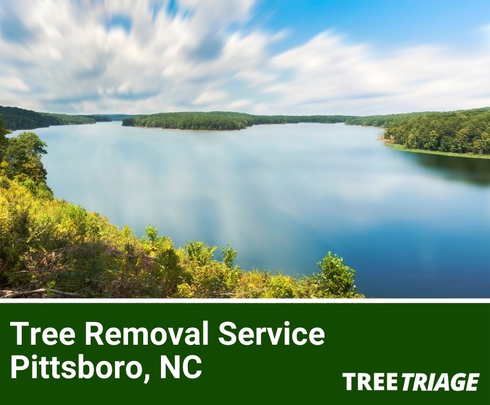 Tree Removal Service Pittsboro, NC-1