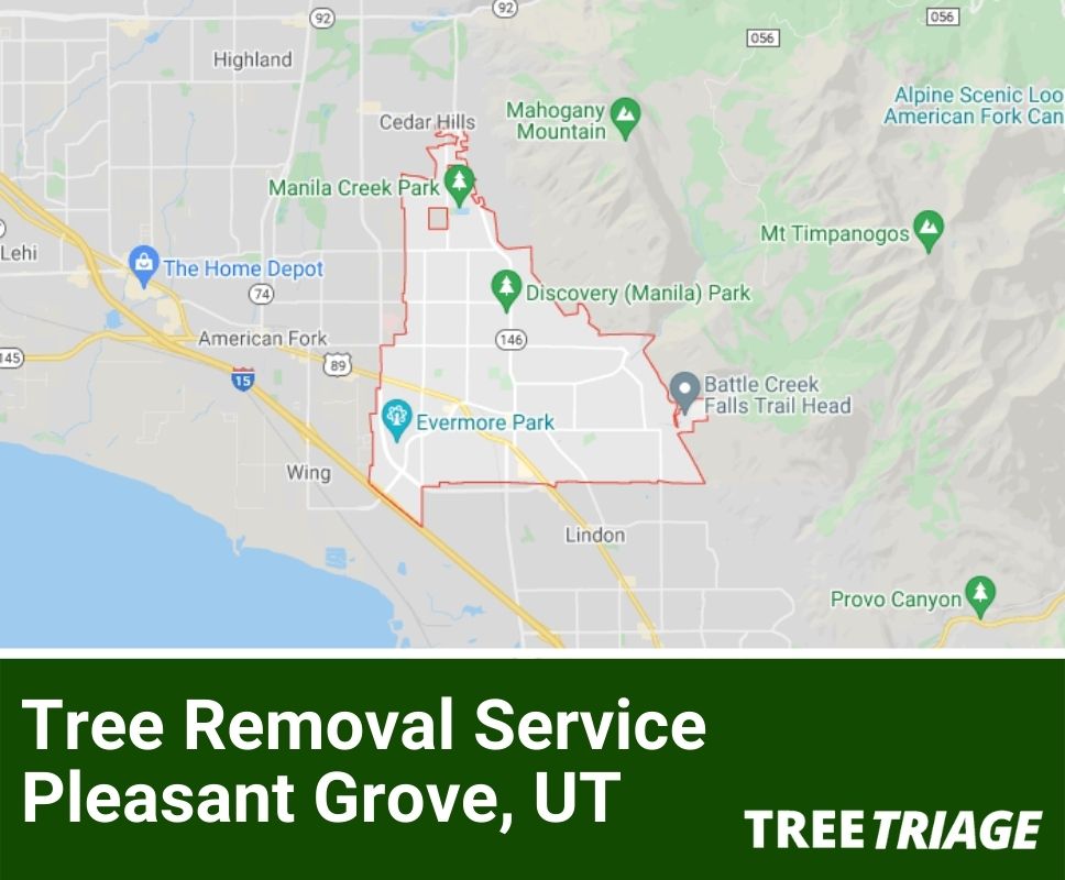 Tree Removal Service Pleasant Grove, UT-1
