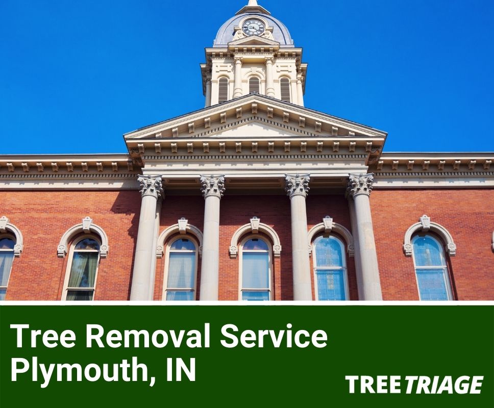 Tree Removal Service Plymouth, IN-1
