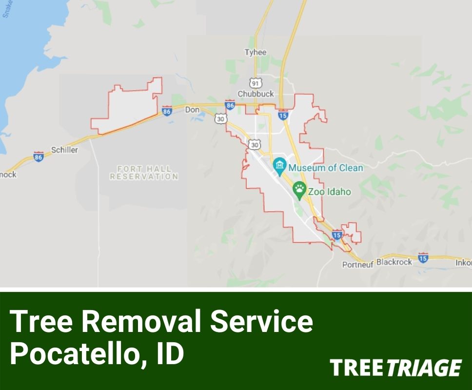 Tree Removal Service Pocatello, ID-2