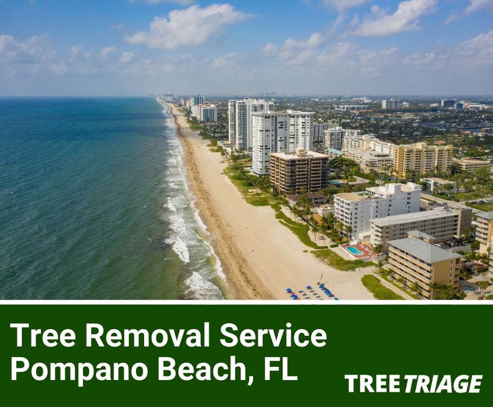 Tree Removal Service Pompano Beach, FL-1