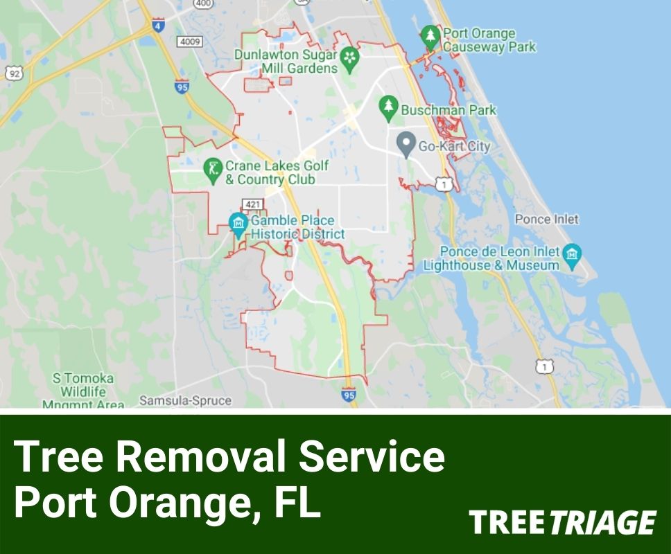 Tree Removal Service Port Orange, FL-1