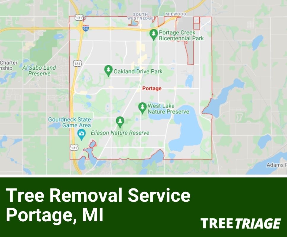 Tree Removal Service Portage, MI-1