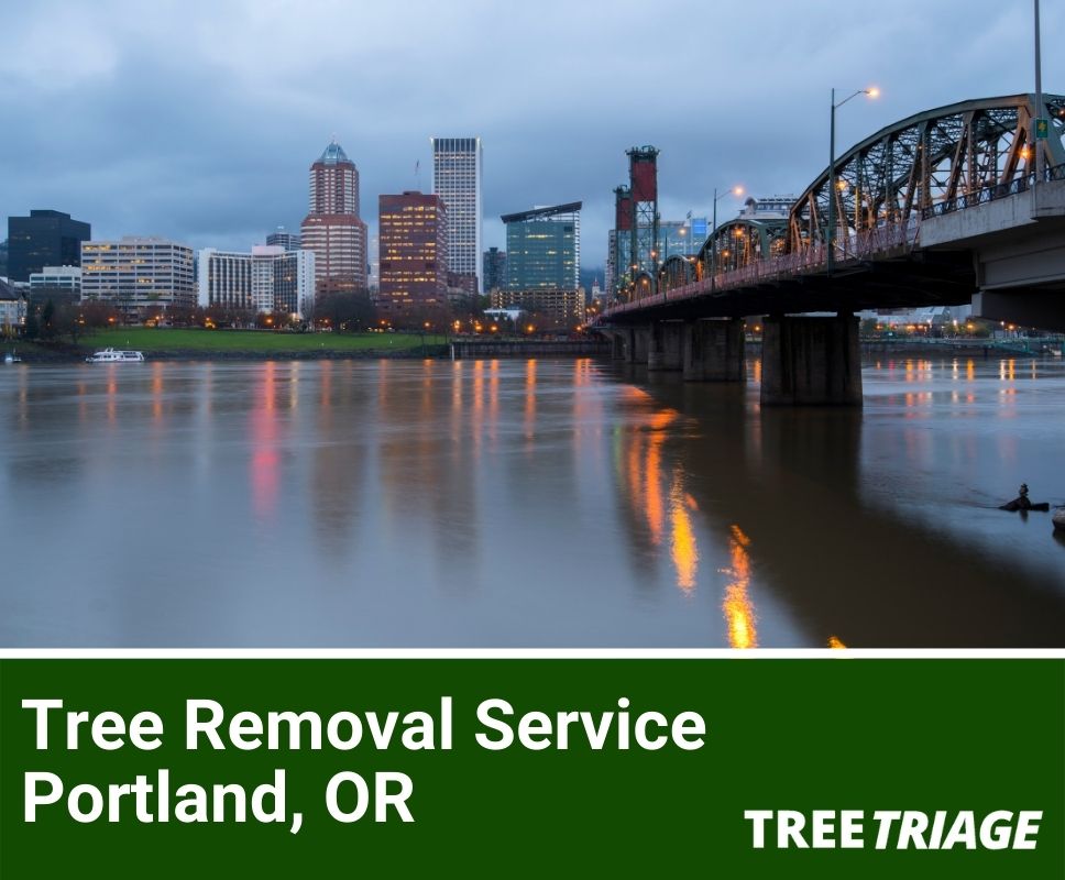 Tree Removal Service Portland, OR-1