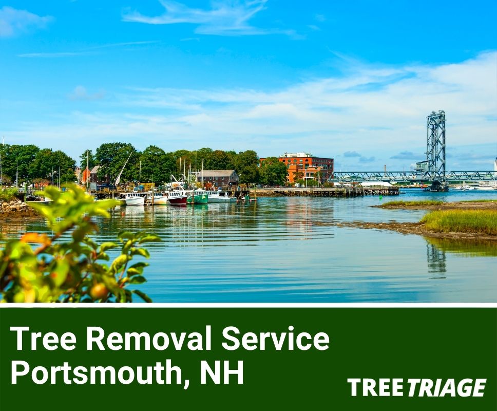 Tree Removal Service Portsmouth, NH-1
