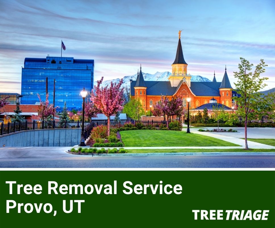 Tree Removal Service Provo, UT-1