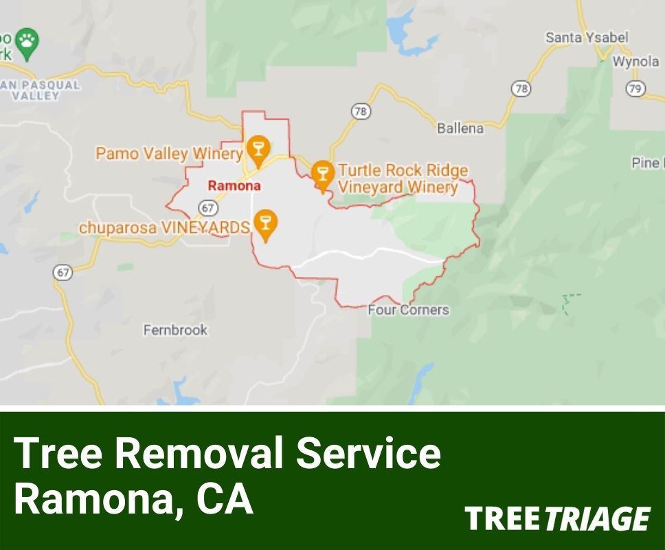 Tree Removal Service Ramona, CA-2