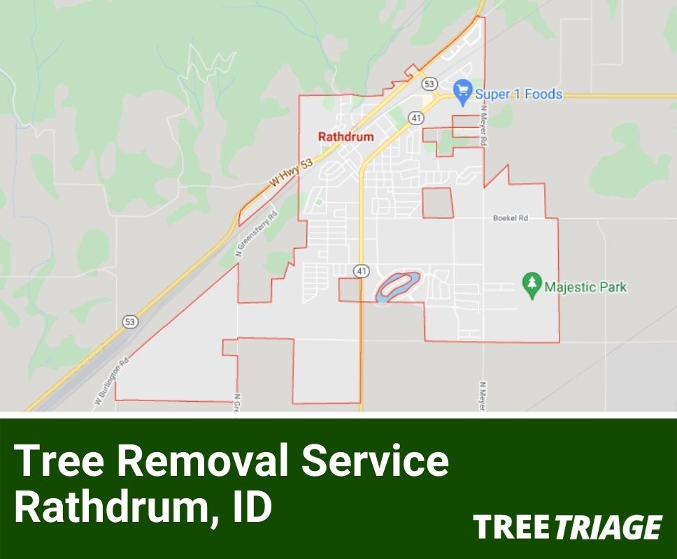 Tree Removal Service Rathdrum, ID-1