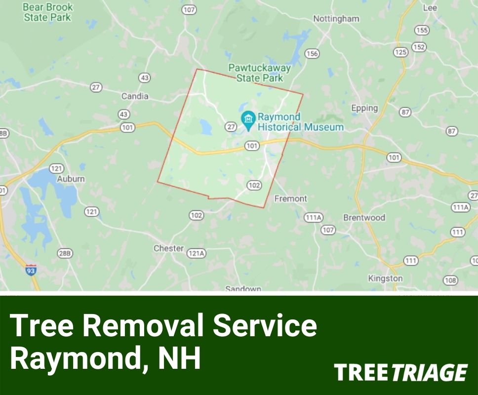 Tree Removal Service Raymond, NH-1(1)