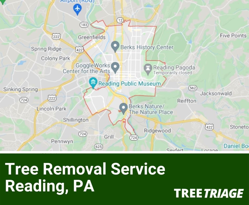 Tree Removal Service Reading, PA-2
