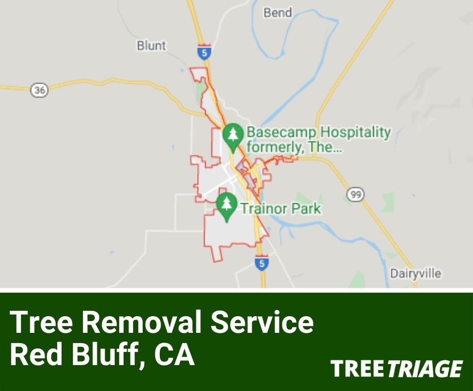 Tree Removal Service Red Bluff, CA-1