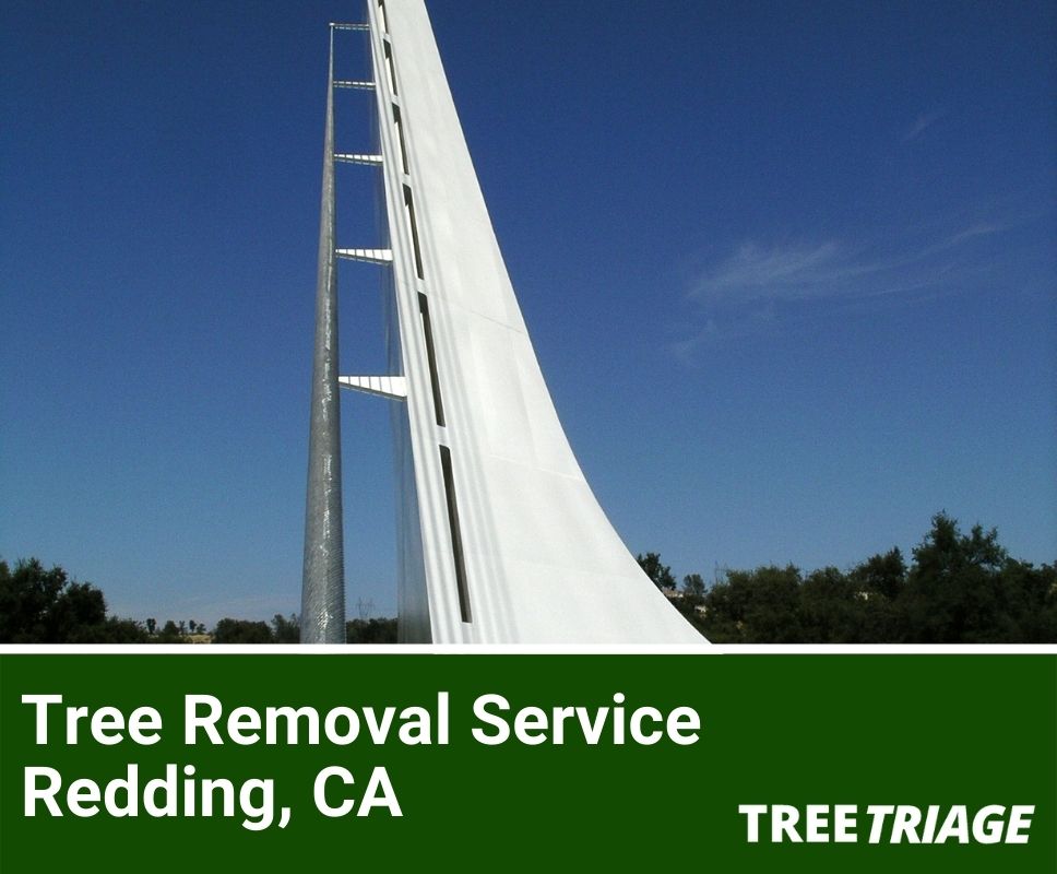 Tree Removal Service Redding, CA-1