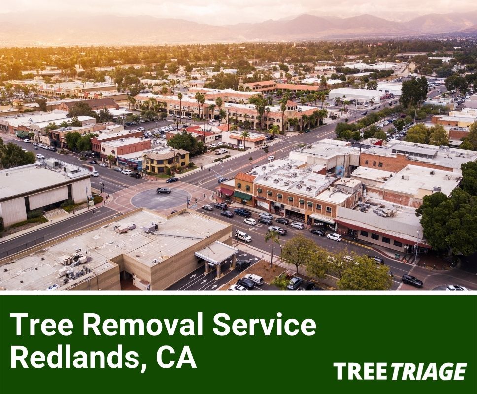 Tree Removal Service Redlands, CA-1