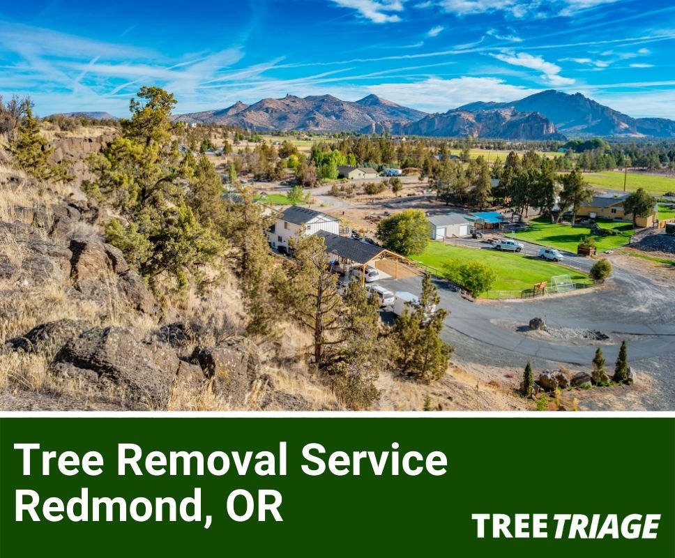 Tree Removal Service Redmond, OR-1