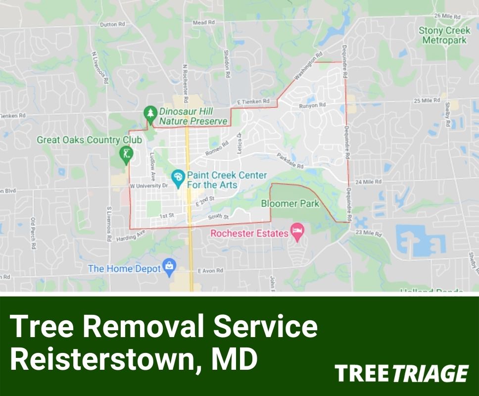 Tree Removal Service Reisterstown, MD-1