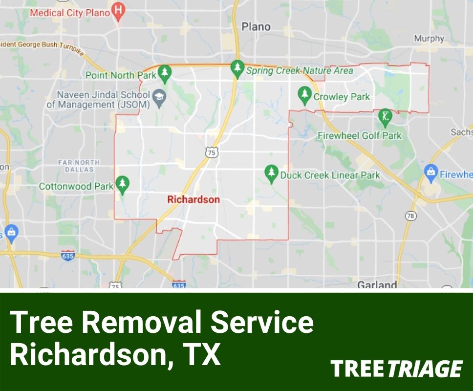 Tree Removal Service Richardson, TX-1