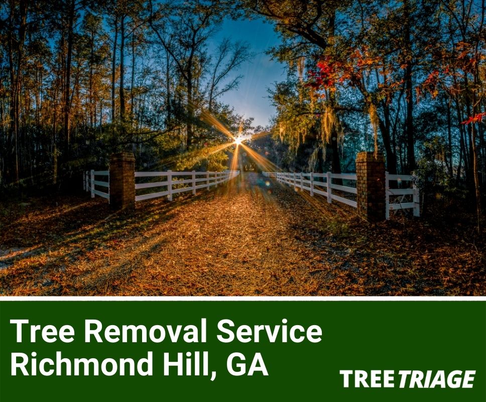Tree Removal Service Richmond Hill, GA-1