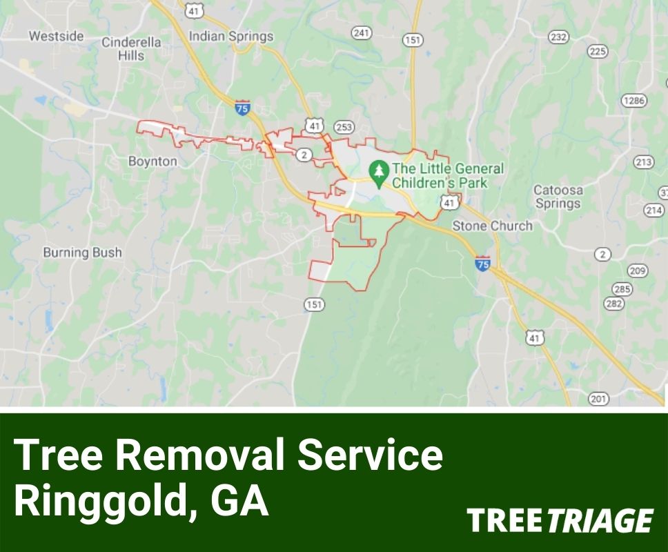 Tree Removal Service Ringgold, GA-1