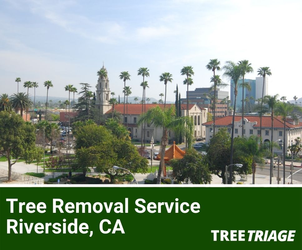 Tree Removal Service Riverside, CA-1