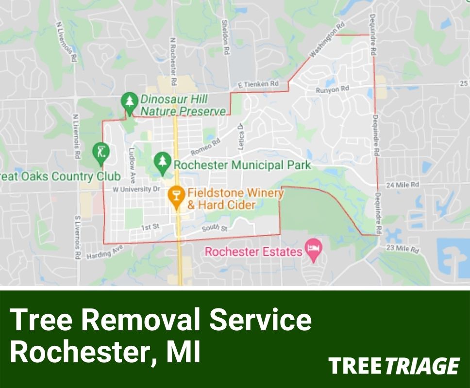 Tree Removal Service Rochester, MI-2