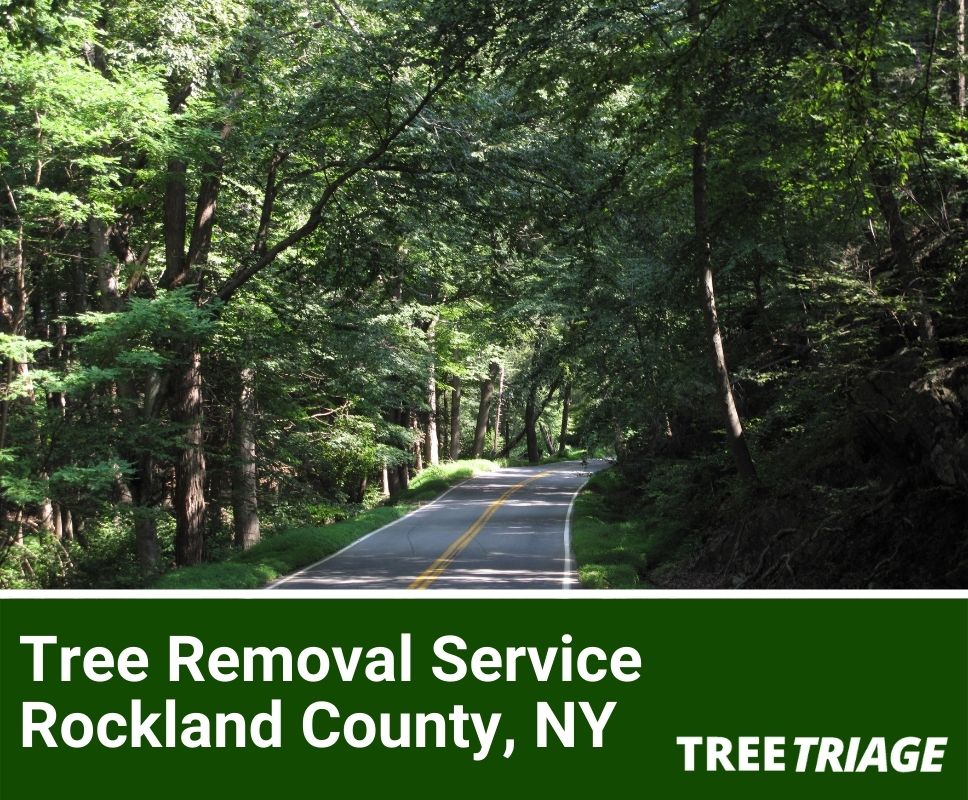 Tree Removal Service Rockland County, NY-1