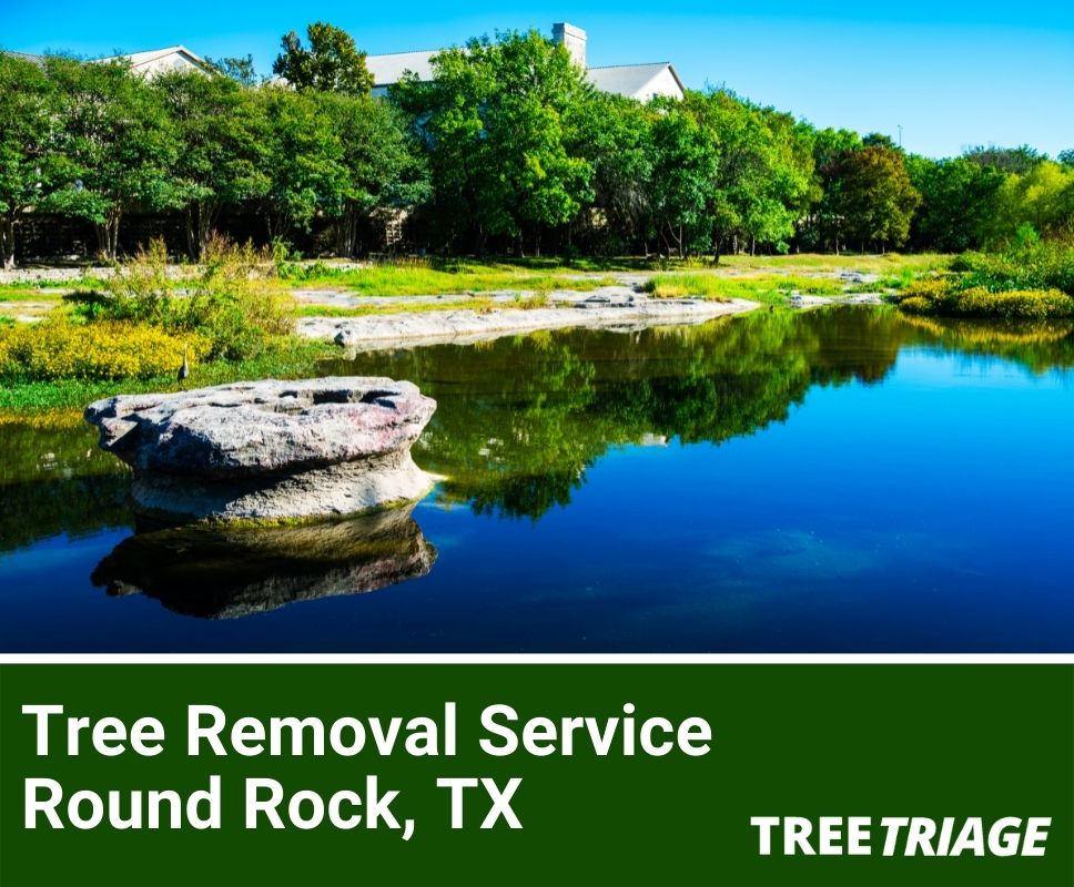 Tree Removal Service Round Rock, TX-1