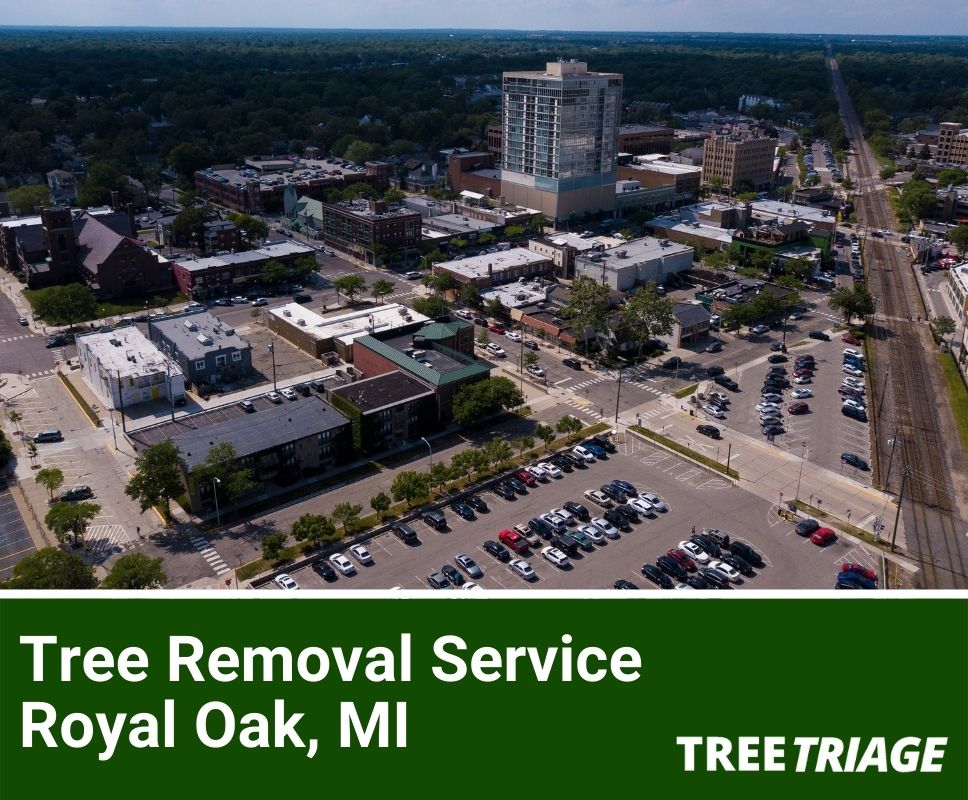 Tree Removal Service Royal Oak, MI-1