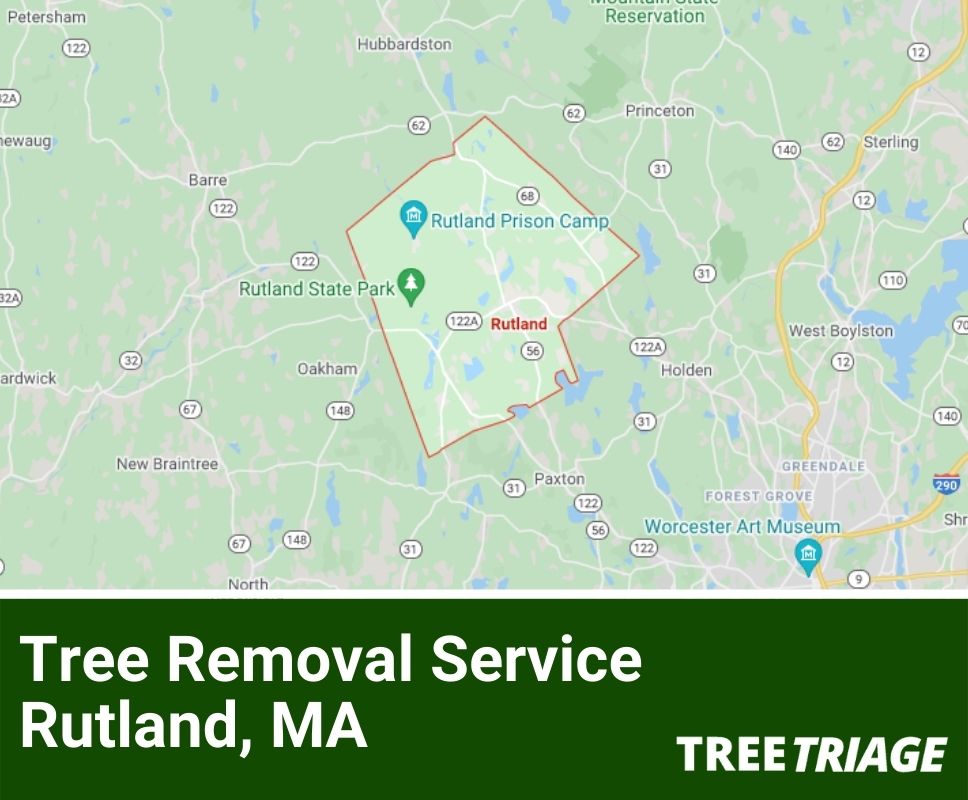 Tree Removal Service Rutland, MA-1