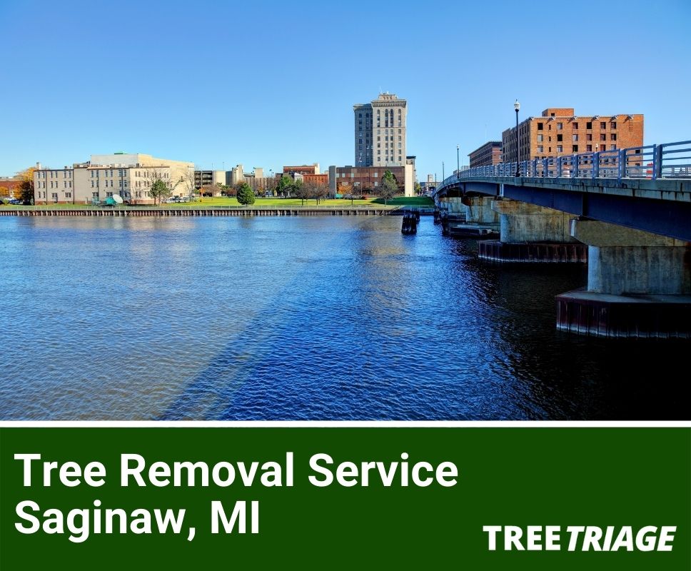 Tree Removal Service Saginaw, MI-1