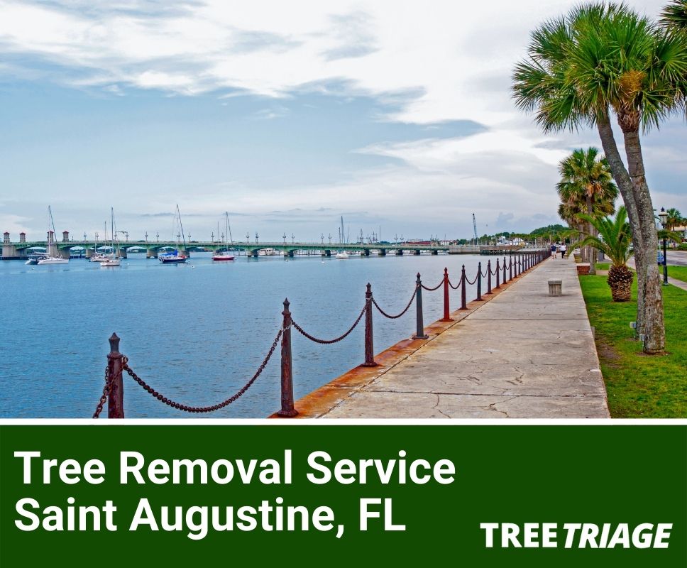 Tree Removal Service Saint Augustine, FL-1