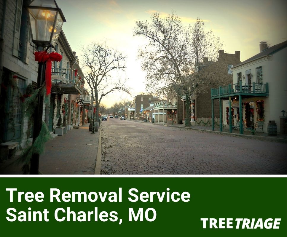 Tree Removal Service Saint Charles, MO-1