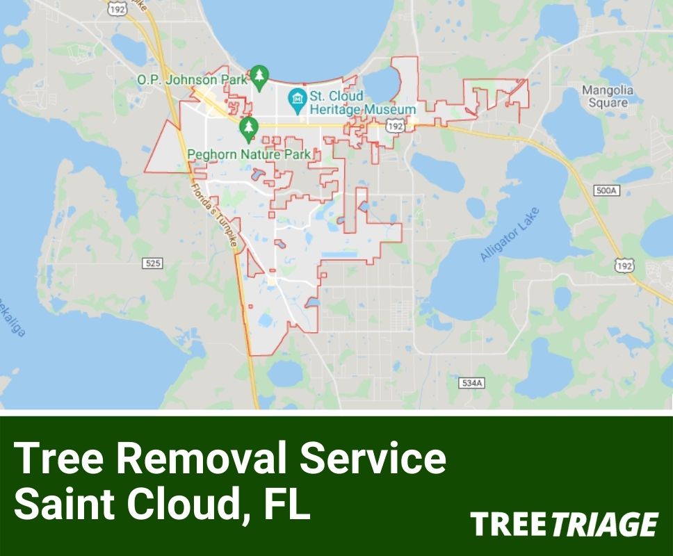 Tree Removal Service Saint Cloud, FL-1