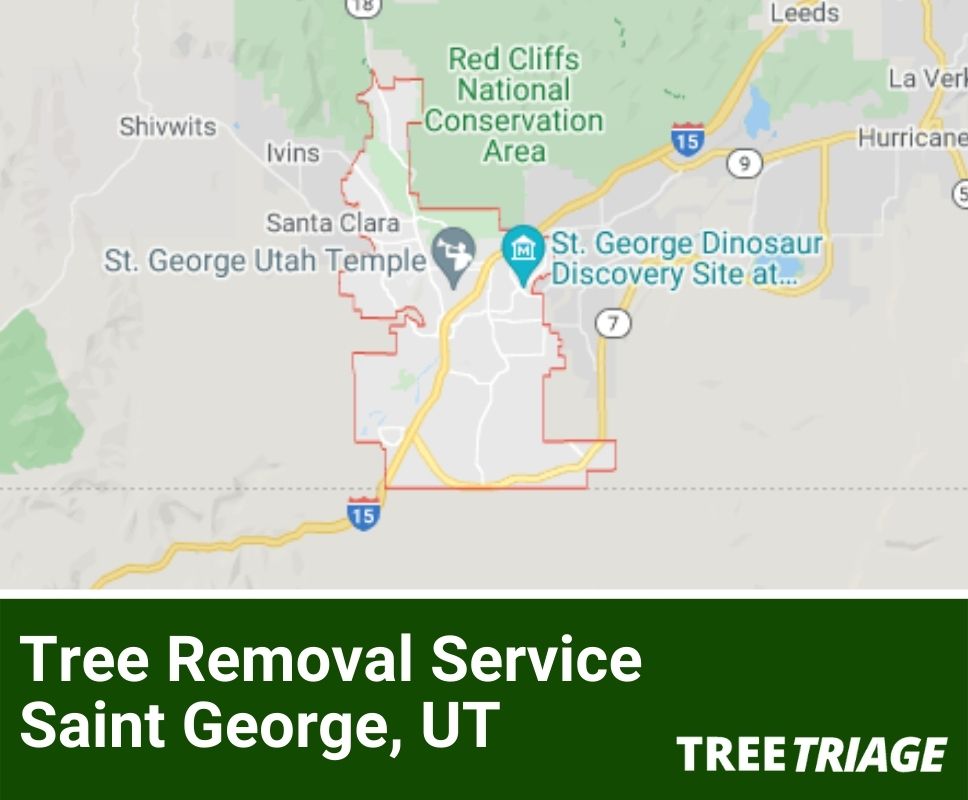 Tree Removal Service Saint George, UT-1