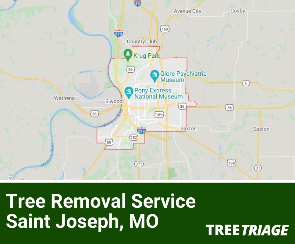 Tree Removal Service Saint Joseph, MO-1(1)