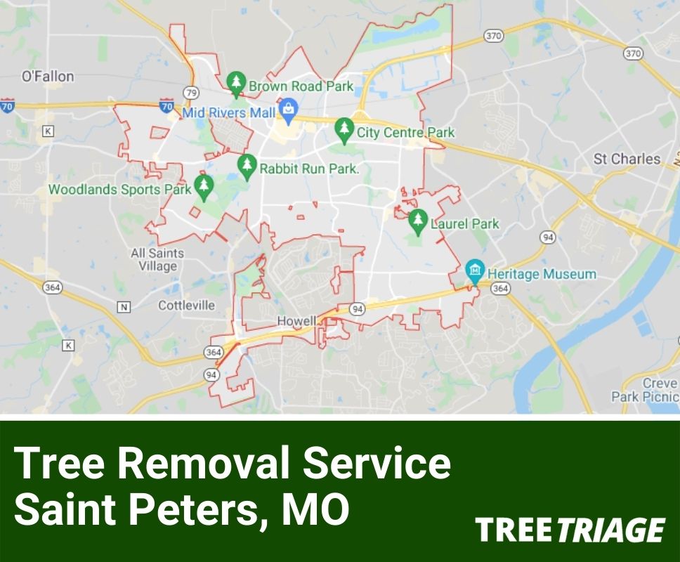 Tree Removal Service Saint Peters, MO-1