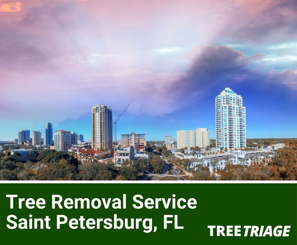 Tree Removal Service Saint Petersburg, FL-1